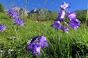 Presolana orientale ad anello con Monte Visolo il 15 luglio 2016- FOTOGALLERY